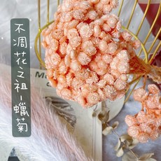 義大利不凋蠟菊 乾燥花素材 婚禮佈置 手作素材 攝影道具, 小份10朵,我懂!!沒問題, 嫩珊瑚粉桔粉