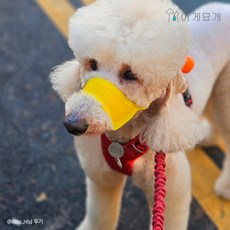 이게묘개 강아지 입마개 짖음 방지기, S, 1개