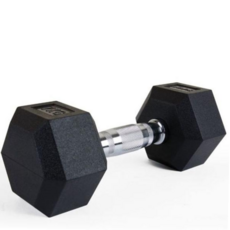 바벨 스타 고무 아령 근력운동 스쿼트 홈트 헬스 기구 8kg 59000EA 1EA, 본상품