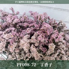 CANLONGER FLOWER 水晶花, 72丁香紫,原裝(超取會修剪適合裝箱尺寸), 1個