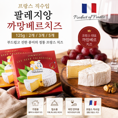 프랑스직수입 팔레지앙 까망베르 치즈 125g 2개 3개 5개/ 고소하고 부드러운 프랑스산 소프트치즈 /와인과 환상궁합 홈파티용 업소용, 1개, 250g