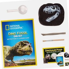 화석 내셔널지오그래픽 화석발굴 공룡이빨 어린이 장난감, 단품