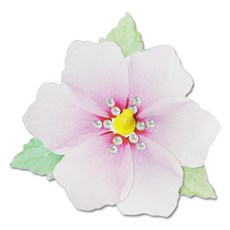 혜문전방 우리나라 무궁화팽이(5인용)