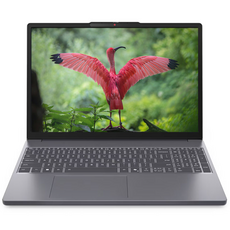 레노버 2025 아이디어패드 슬림 3 16AHP10 라이젠7 라이젠 8000 시리즈, Luna Grey, 1TB, 8GB, Free DOS, Slim3 16AHP10