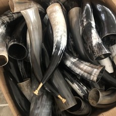 專業黑氂牛角喇叭牛角號，法師銅嘴道教法器，道士常用儀樂器，牛角吹號角道傢用品, 銅嘴超大號角彎長45到50厘米一支