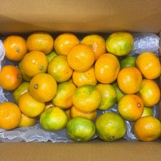 [산지직송_청정 제주] 제주 토박이 농부재배 청정제주특품 하우스감귤 5kg 10kg, 하우스감귤 (대과) 5kg