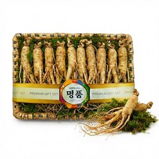 프리미엄 6년근 인삼선물세트8-10 뿌리 500g 부모님선물 명절 선물 수삼선물세트 건강선물