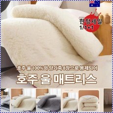 호주 울 매트리스 호주순양털매트리스 겨울 매트리스 커버 극세사 쿠션 보온 알레르기 방지 보온 매트리스 통기하다/편안하다/얼룩 방지