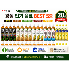 혼합음료 광동 보리차 돼지감자차 옥수수수염차 헛개차 레몬에이드(20개)