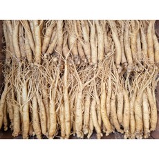 삼계탕용 삼계 무료세척 튀김용 백숙용 갈비탕용 업소용 1000g(34-60뿌리) 500g(20-35뿌리) 산지배송무료, 300g, 1박스