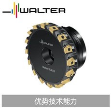 WALTER 瓦爾特 方肩銑刀, 1個, F5141.B16.040.Z04.12
