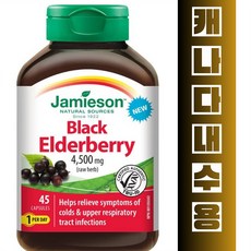 블랙 엘더베리 인후통완화 항산화제 하루1정 캐나다내수용 자미에슨, 1개, 45정