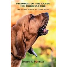 (영문도서) Phantom of the Dump: A Fanciful Farce in Three Acts Paperback, Sunstone Press, English, 9781632935496