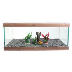 魚經理龜缸 SET2-1 50 x 27 x 22cm, 1套