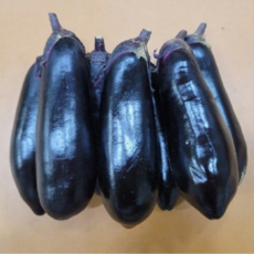 [한스푼푸드] 국내산 가지 (상품) 햇살품은 노지재배 가지, 1박스, 3kg