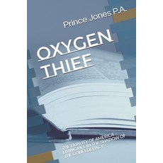 Oxygen Thief: The Duality of America - Living Life in the Shadow of the Confederacy Paperback, Independently Published