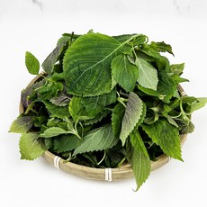 [새벽시장/당일출고] 산지직송 국내산 깻순 부드러운 깻순나물, 500g, 1개