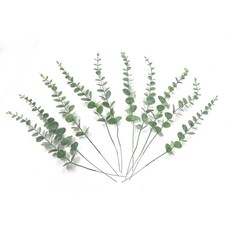 조화 유칼립투스 연두색 10P 꽃 장식 인테리어 꽃병 인조 유칼립튜스, GD038 유칼립투스 연두색, 10개