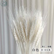 大好屋 麥穗 白色裝飾花材 拍攝道具 約40-50支, 麥子【白色】約40~50支裝