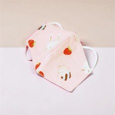 마스크 방한 아기 유아 어린이 겨울 방한 방한대 면 3D 입체 두돌 필터 내장형