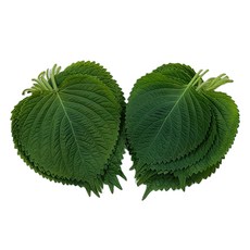 싱싱한 깻잎 1봉지(30장), 1개, 1g