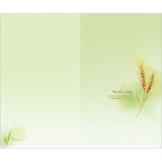 4면 맥추감사주일주보-2126 (1속 100장)