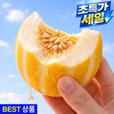 [초특가할인] 성주 참외 꿀참외 산지직송, 1박스, 1kg(실속 혼합과)