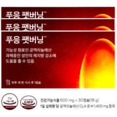 푸응 팻버닝 600mg x 30캡슐 x 3박스 30일분, 30정