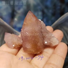 【土桑展精選寶物】仙人掌水晶(Cactus Quartz) 南非, 1個, 191204-74