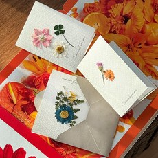 생화 압화 엽서 카드 5개 캘리그라피 미니 편지지 봉투 제작 클로버 꾸미기 만들기 세트, 초록, 1개, 5-3 클로버