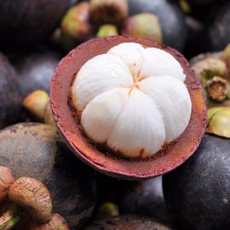 [한정특가] 항공직송 열대과일 태국산 망고스틴, 1박스, 500g