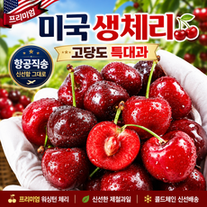 프리미엄 미국산 생 체리 고당도 워싱턴 체리, 1박스, 2kg