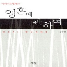 [개똥이네][중고-상] 영혼에 관하여