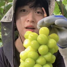 [17~19 Brix 당도보장] 김천뭉치네 샤인머스켓 GAP 우수재배인증, 1박스, 뭉치네 고당도 2kg 3~4수