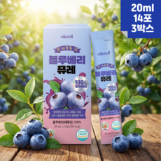 순수 100% 블루베리 퓨레 스틱 씨 과육 껍질 포함 식약처 HACCP, 3박스, 280ml