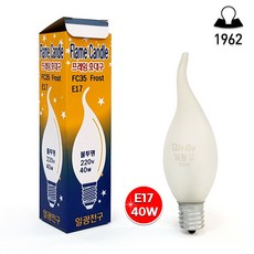 일광전구 촛대구 프레임촛대구 장식용전구 E17 40w 불투명 전구색(10개 묶음), 전구색, 1개