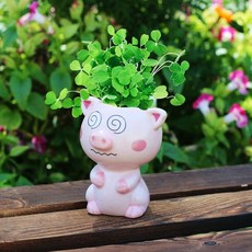 귀여운화분 고양이 돼지 잔디키우기 새싹 원예 반려 학습 diy 잔디머리 체험 식물 장식, 피기디지(트레이보내기)러브그래스, 1개