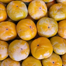 때깔찬 달콤아삭 감 단감 차랑 부유 4kg 8kg, 1개, 4kg내외 (25과내외) 단감