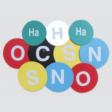 분자구조모형(자석칠판식) SD 42014