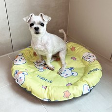 하니펫 반려동물 여름 쿨링 아이스 쿨매트 토끼, 1개