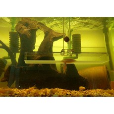 브라인급여기 L형 (길이 35cm 45cm 옵션선택 열대어 코리 디스커스 특허제품 급여기), 1개