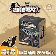 考古寶石礦石化石挖掘玩具，兒童DIY尋寶盲盒，益智科教玩具, 1個, 恐龍骨化石套裝【送挖掘工具】