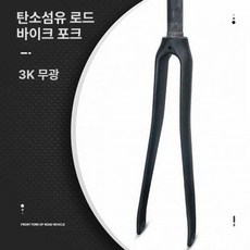 포크 풀카본 픽시자전거 출퇴근 싱귤러리티 트랙, 1개, 표시 없는 3K 패턴 370g A