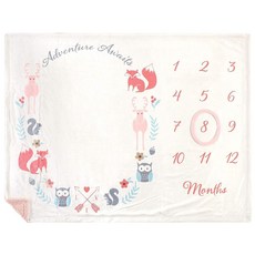 Hudson Baby 유니 아기 플러시 홀리데이 및 마일스톤 담요 Girl Adventure Awaits 원 사이즈, 모험이 기다리고 있습니다