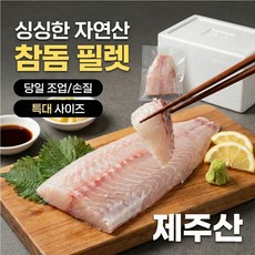 도두수산 제주도 제철 참돔 회 필렛 도미 회 필렛, 1세트, 제주참돔 필렛500g