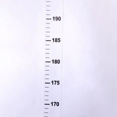 부착형 심플 키재기 줄자 화이트, 빠른배송