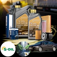 폭스바겐 파사트 6세대 2.0TSI (CCT) 가솔린 세븐골드 5W30 엔진오일 필터세트 VIN