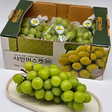 고당도 안전배송 김천 영천 산지직송 샤인머스캣, 1개, 샤인머스캣 2kg 가정용 (3-5수)