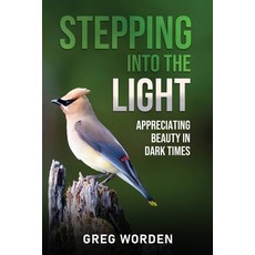 (영문도서) Stepping into the Light: Appreciating Beauty in Dark Times Paperback, Lightside Press, English, 9798991065832