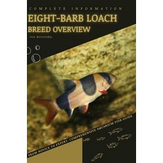 (영문도서) Eight-barb Loach: From Novice to Expert. Comprehensive Aquarium Fish Guide Paperback, Independently Published, English, 9798397825719